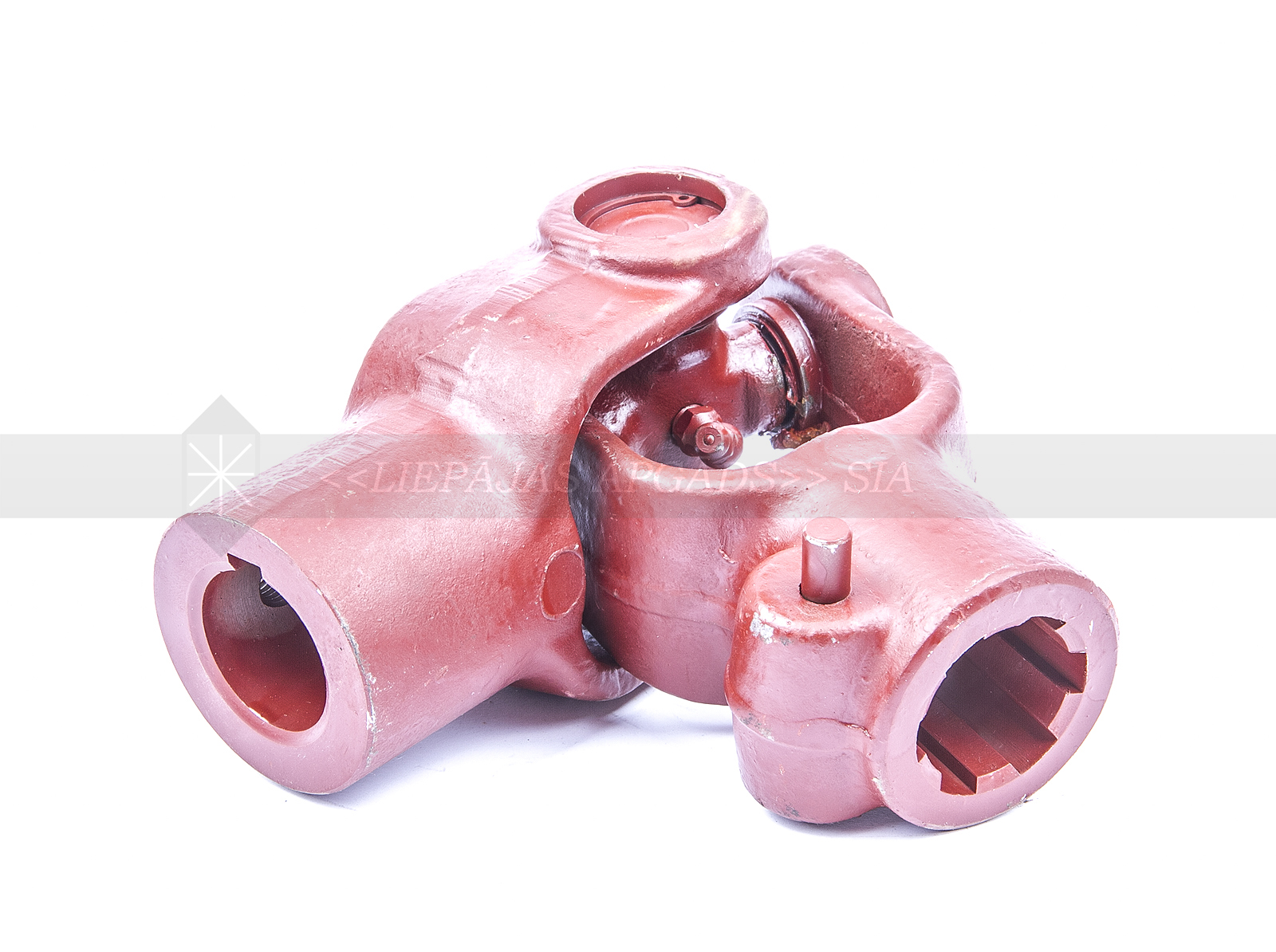 ŠARNĪRS BC 6*0 30MM