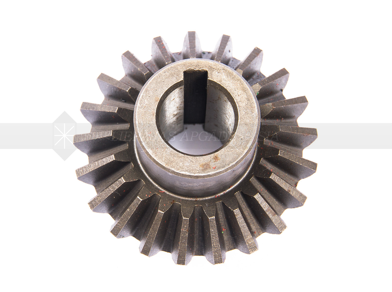ZOBRATS LIELAIS 1.65M 503601067