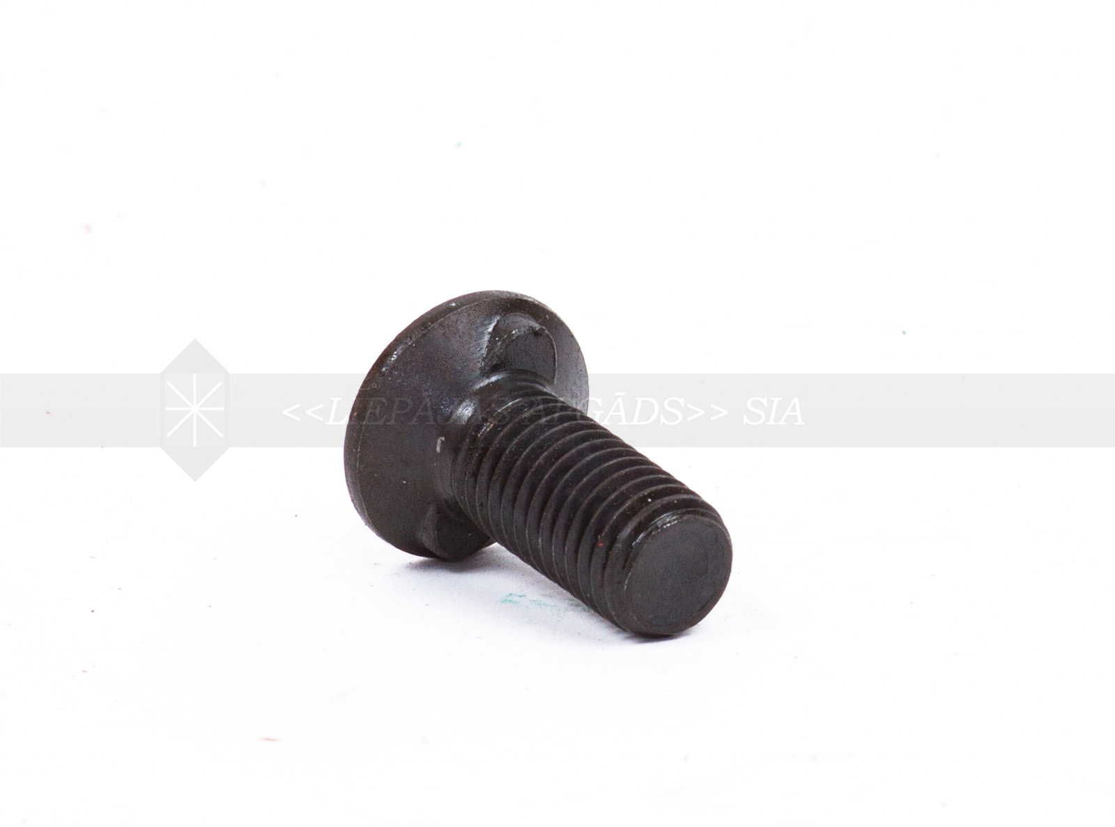 SKRŪVE M12*32 (KRŪTIŅAI)